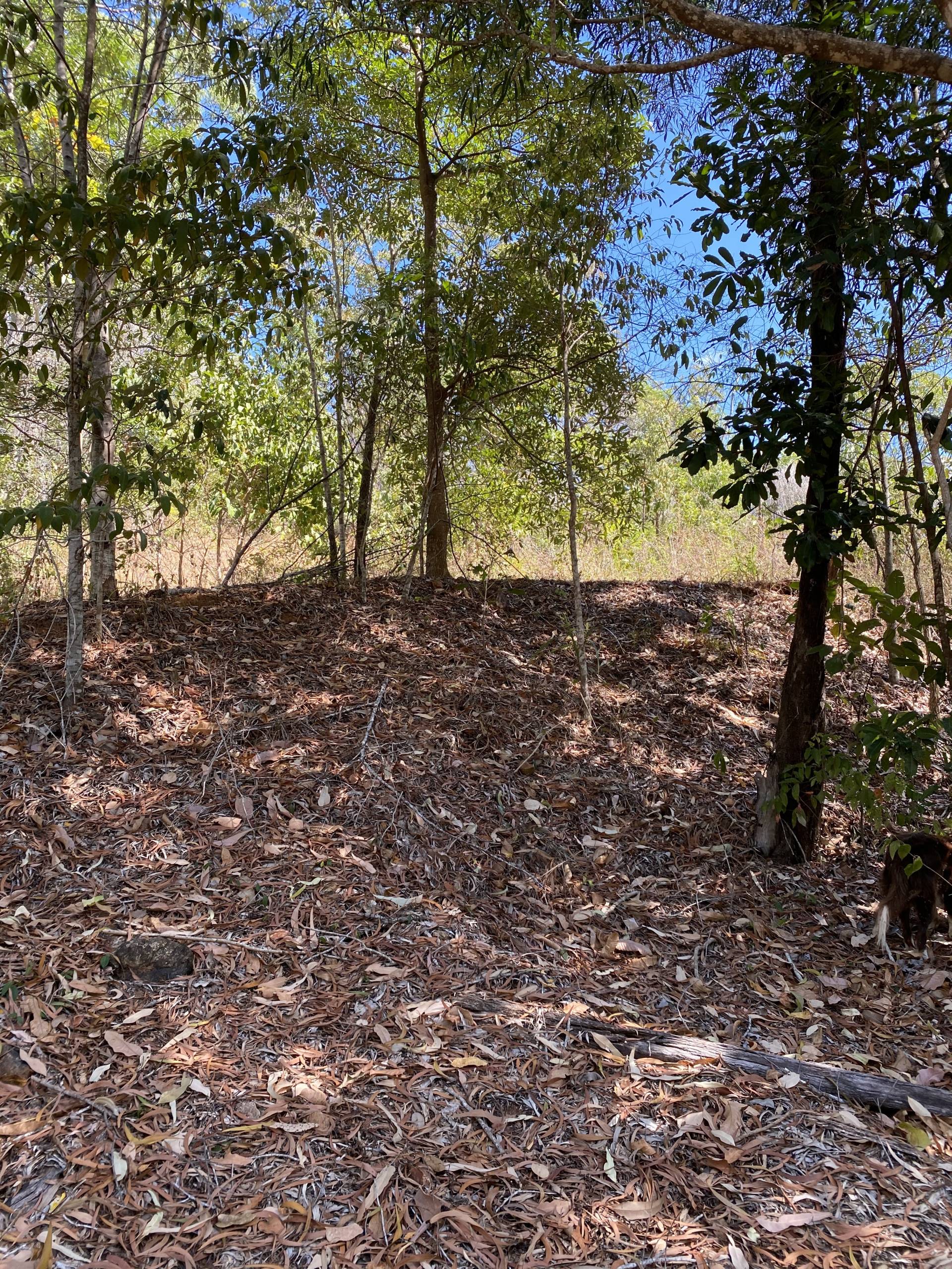 View of House pad #2 from driveway