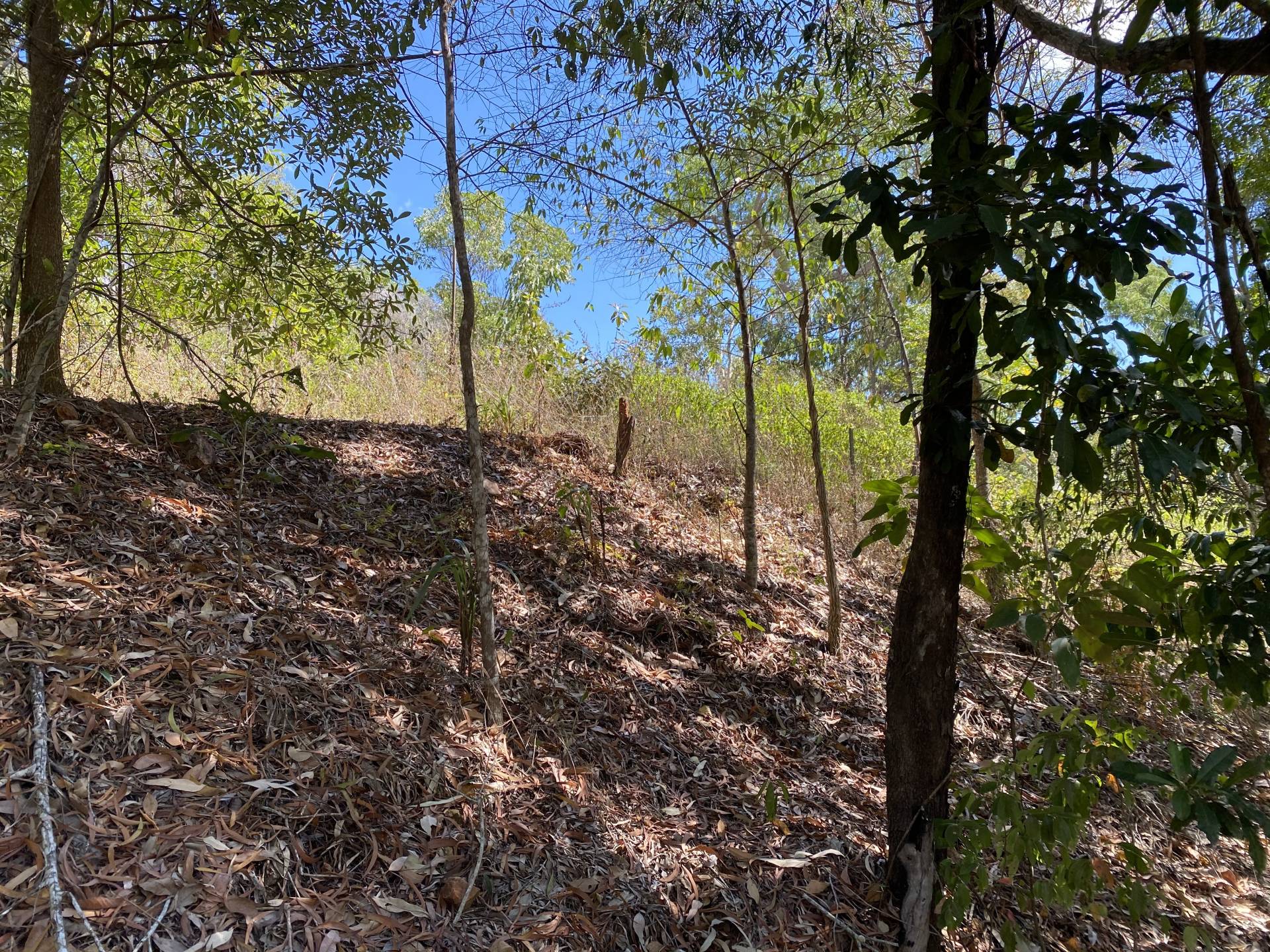 View of house pad #2 from driveway