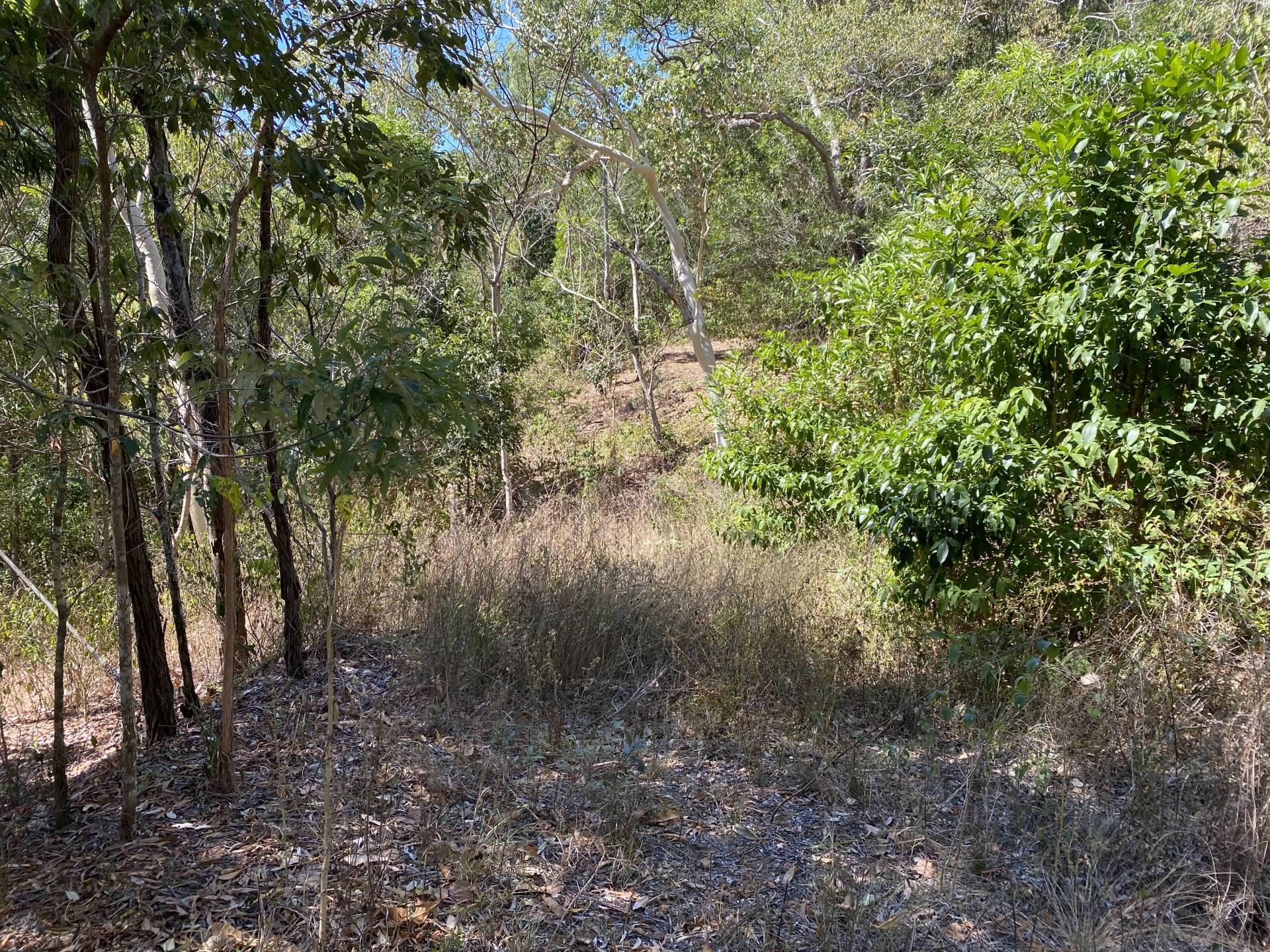 View of driveway from house pad #2
