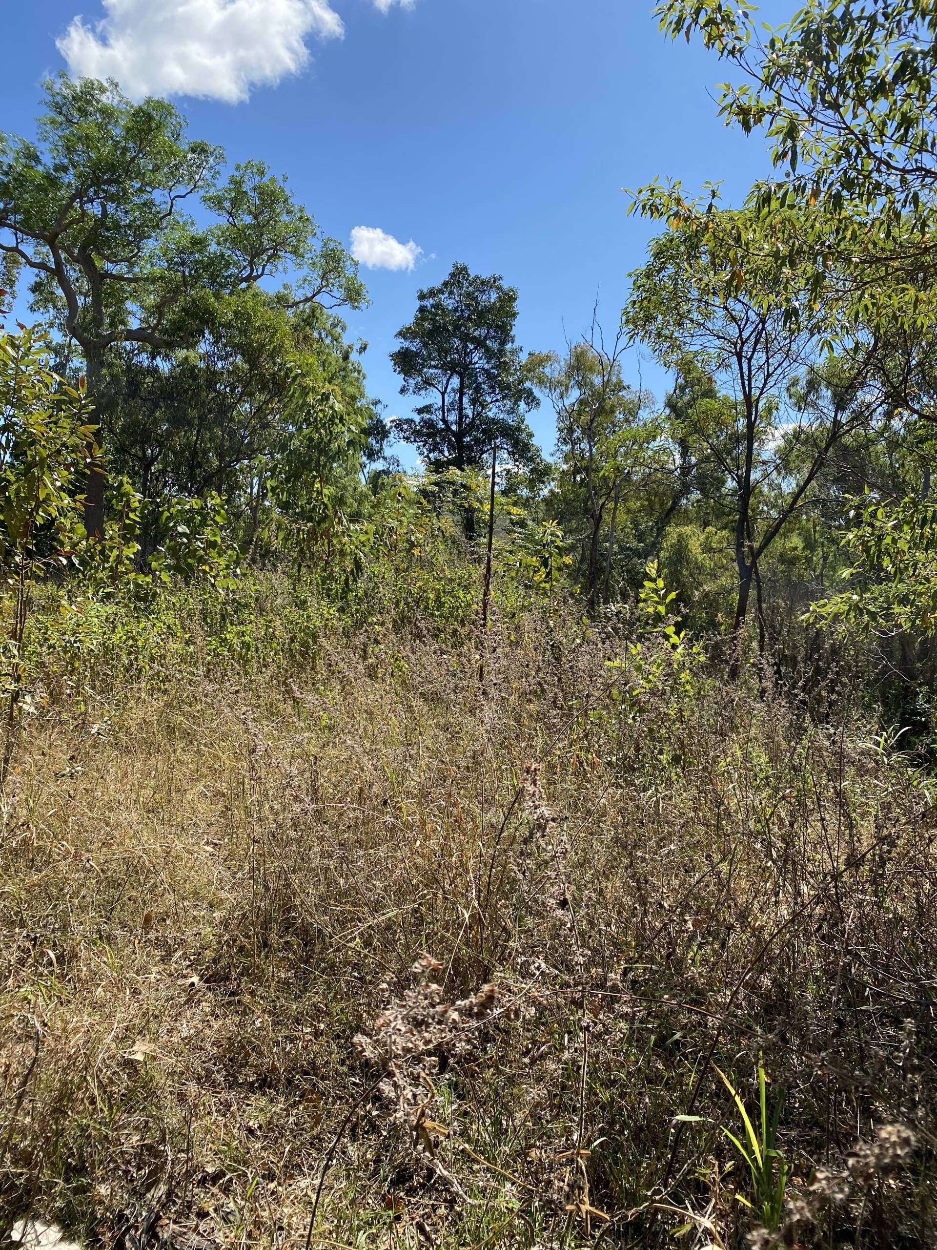 Level with house pad #2