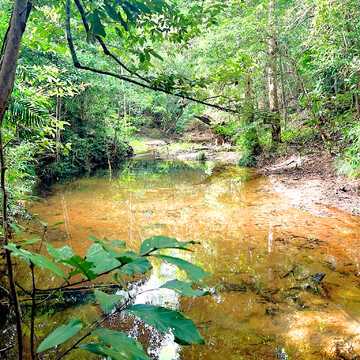 Paul and Rebecca Buldo testimonial image