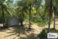1.18 ha (2.91 acres) with Shed, 5 mins to town