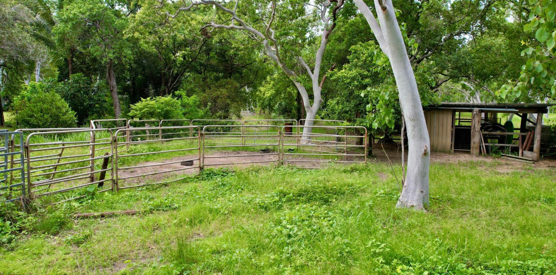 Premium Rural Lifestyle Property Cooktown Platinum Realty