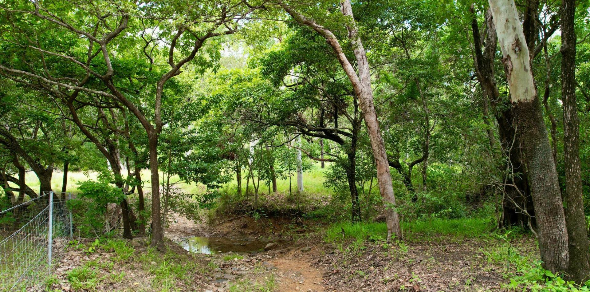 Premium Rural Lifestyle Property Cooktown Platinum Realty