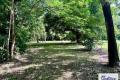 Leafy Half-Acre with Town Water & Power Available