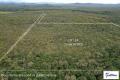73.66 Acres of Untouched Bushland – A Private Slice of Nature Just 15 Minutes from Cooktown