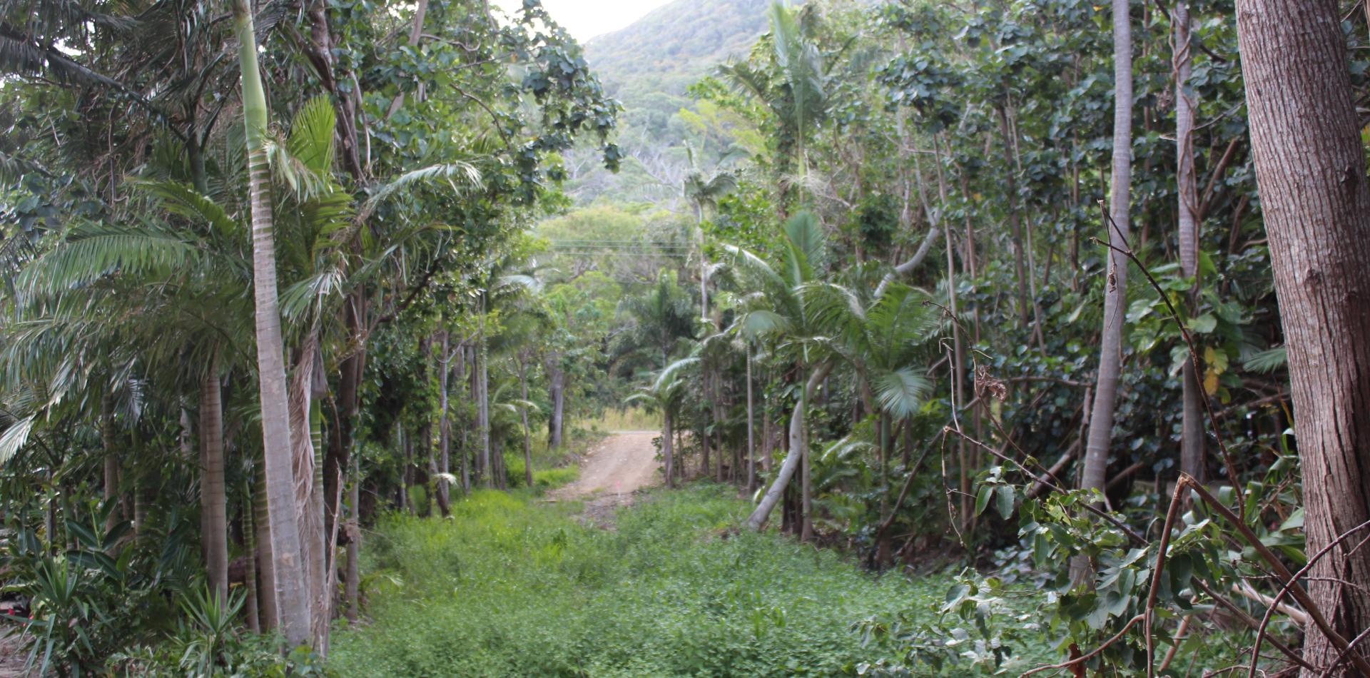 Quarantine Bay building block Cooktown Platinum Realty