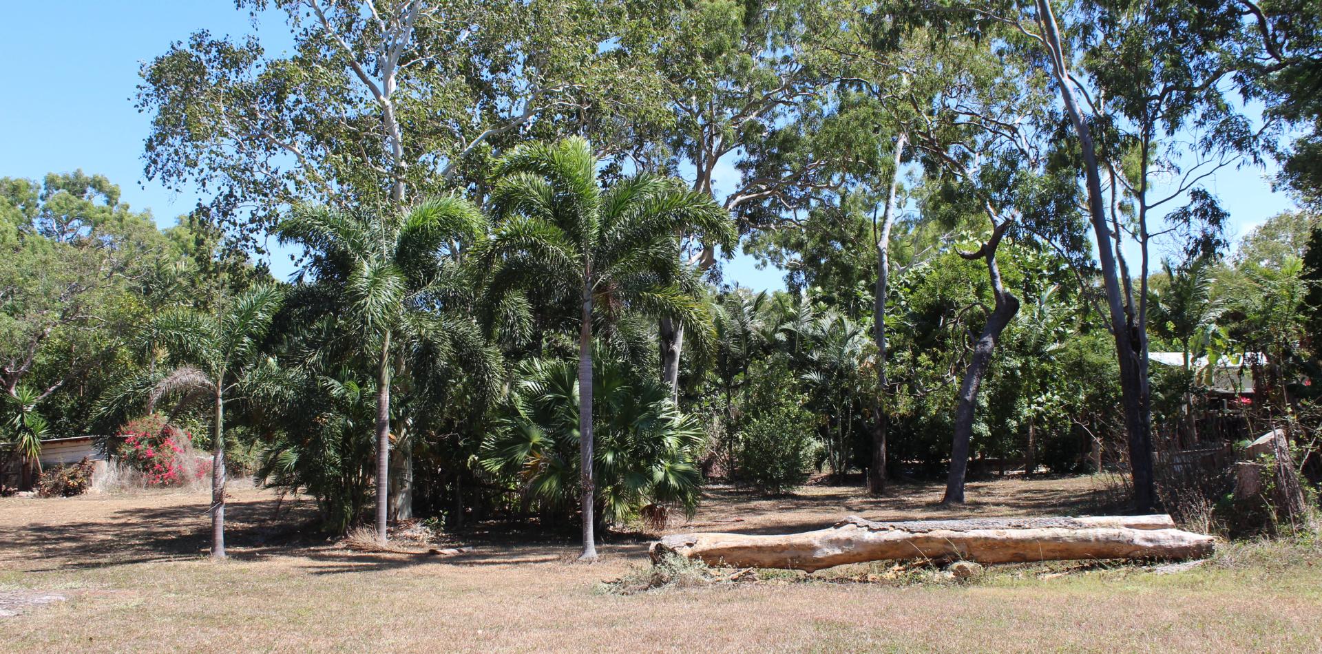 Vacant land available close Quarantine Bay Cooktown Platinum Realty