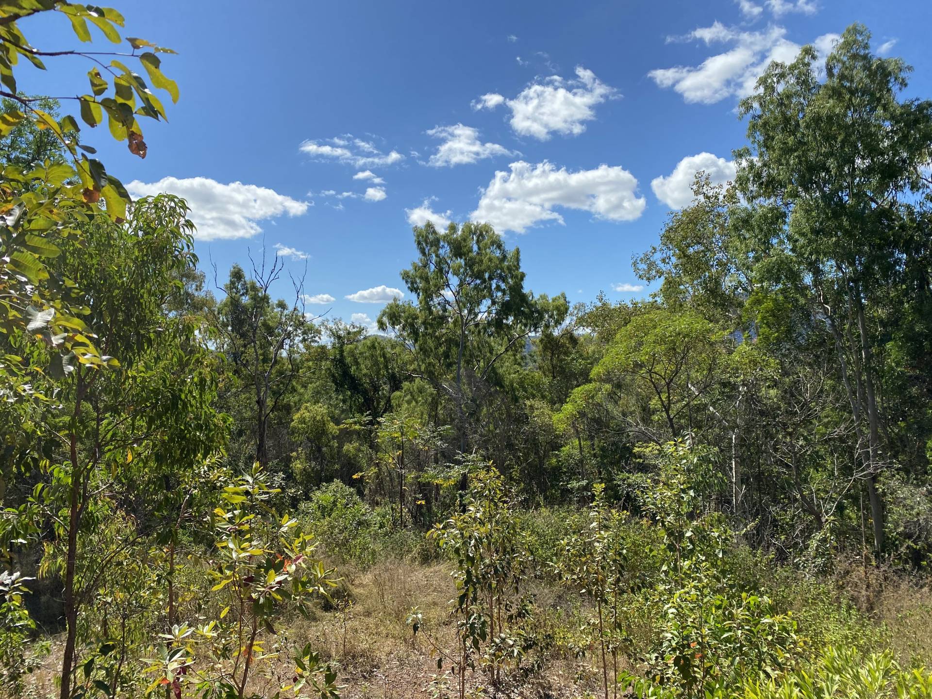 Standing behind house pad #2