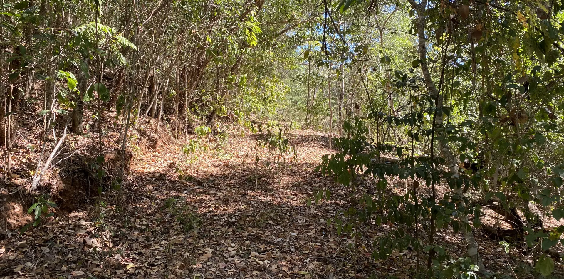 Driveway looping back around