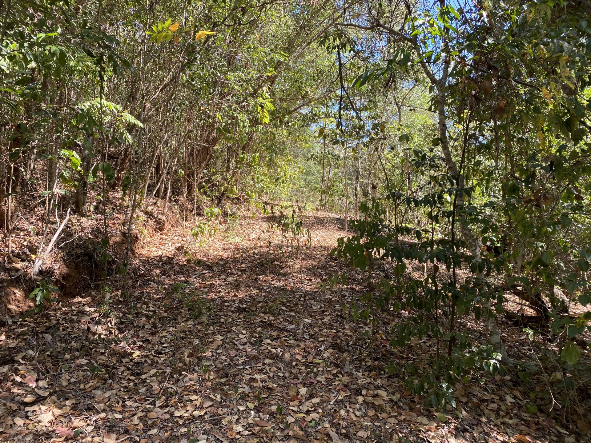 Driveway looping back around