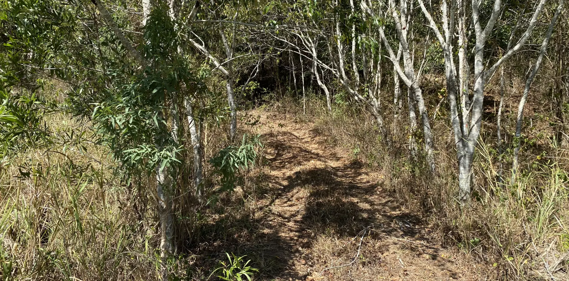 Driveway at bottom of property going up