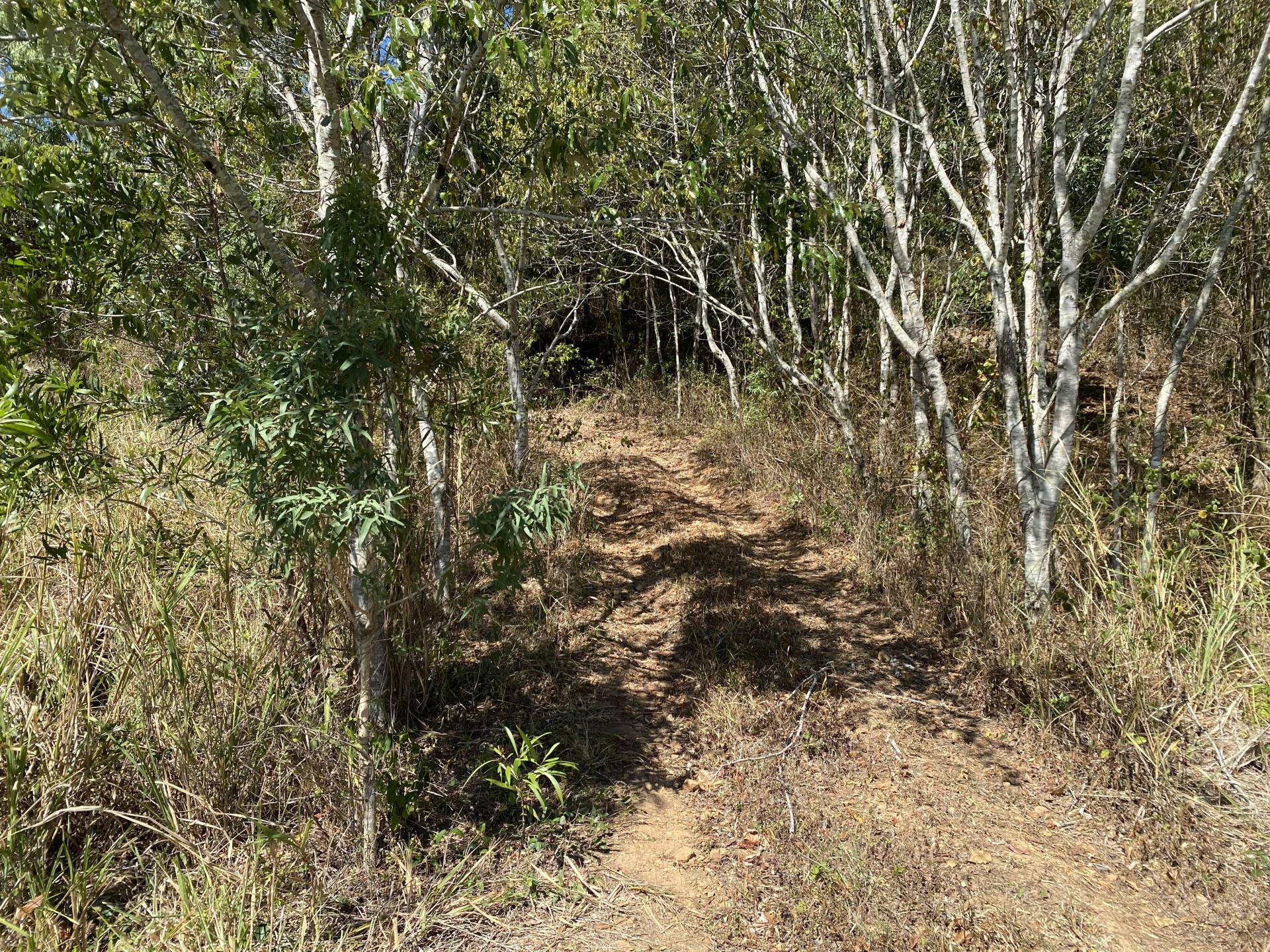 Driveway at bottom of property going up