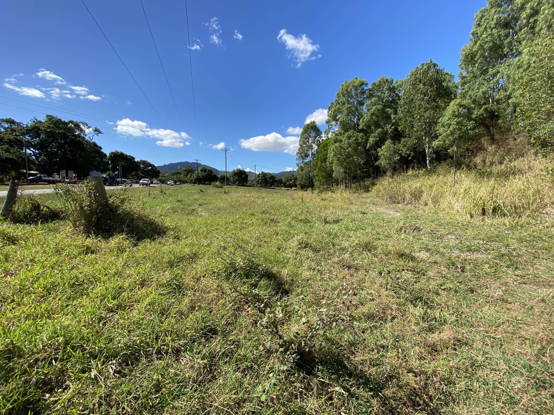 Paddock at bottom of property