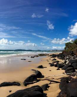 Charmaine Johnston photo