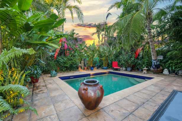 A Hidden Tropical Oasis in the Heart of Gunn