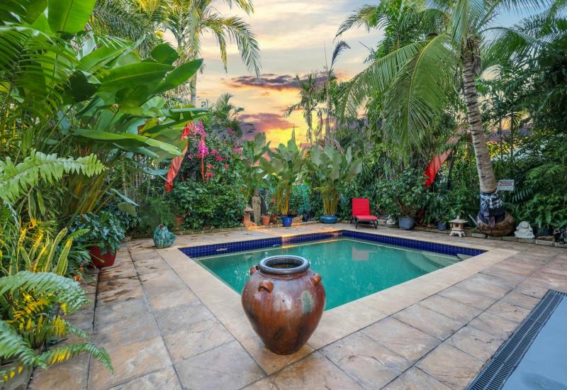 A Hidden Tropical Oasis in the Heart of Gunn