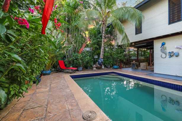 A Hidden Tropical Oasis in the Heart of Gunn