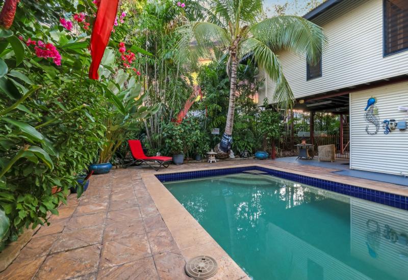 A Hidden Tropical Oasis in the Heart of Gunn
