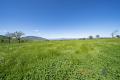SURISE ACRES 69 ACRES OF FREEHOLD GRAZING WITH BUILDING ENTITLEMENTS