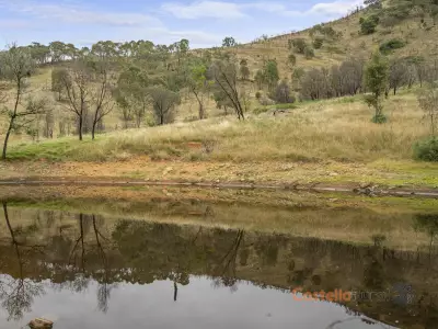 Steven and Melonie Lanz testimonial image