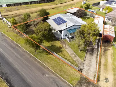 Anne Stephany testimonial image