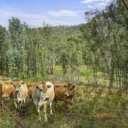 Down to Earth and a Realistic Experience