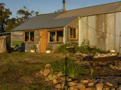 Katalin Szacsuri testimonial image