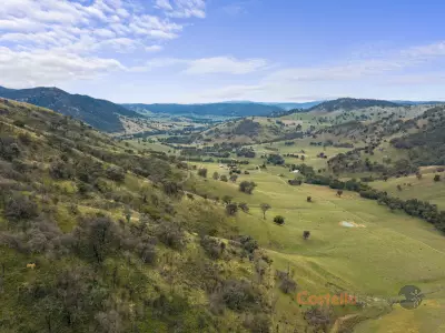 Christopher Wood testimonial image