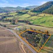 Excellent and professional