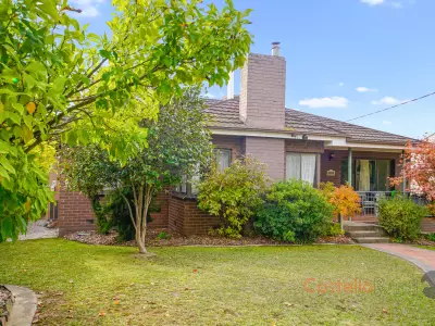 Tania Wenster testimonial image