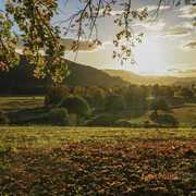 Freindly, knowledgable and personal!