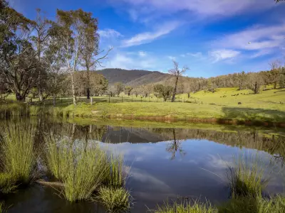 Virginia Ring testimonial image