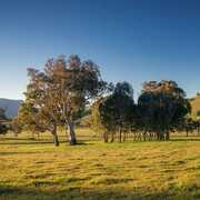 Happy Property Owners