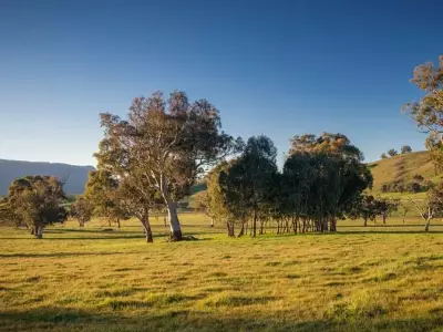 Nadia and Mick Edwards testimonial image
