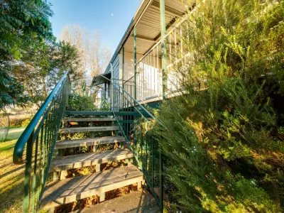 Jackie Williams testimonial image