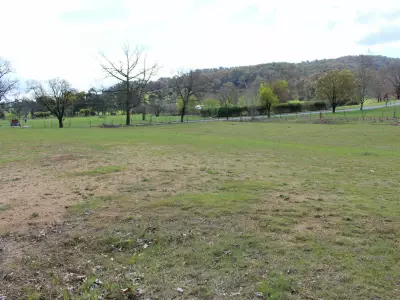 Craig Morton testimonial image