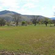 Review of real estate agent