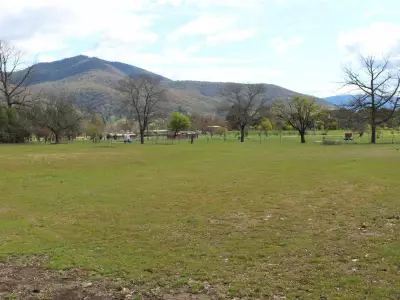 Bernard Lynch testimonial image