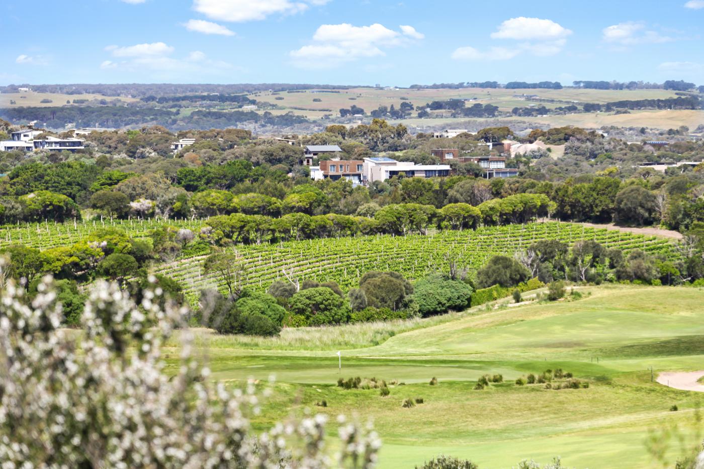 View of The Cups Vineyard and Moonah Links Resort
