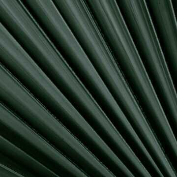 Seller of house in Noosaville, QLD testimonial image