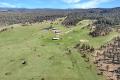 Acres of Possibility in the High Country