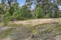 Tree Change on the Gippsland Lakes
