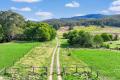 Acres of Privacy, Peace & Serenity
