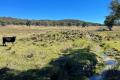 Stanthorpe beautiful vacant land prime location