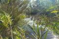 Ballandean / Fletcher vacant land with river frontage