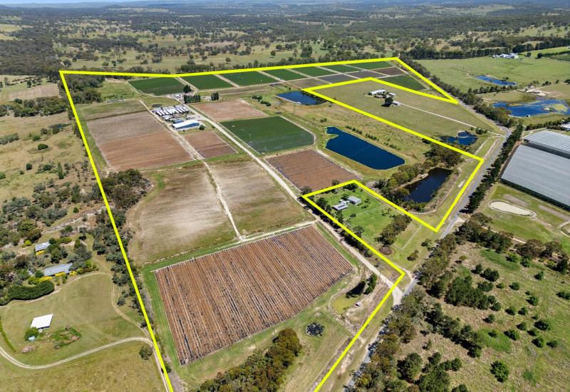 Leading Granite Belt Strawberry/Vegetable farm