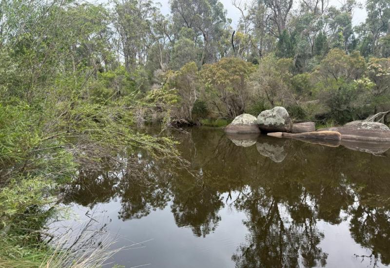 Beautiful Ballandean / Fletcher