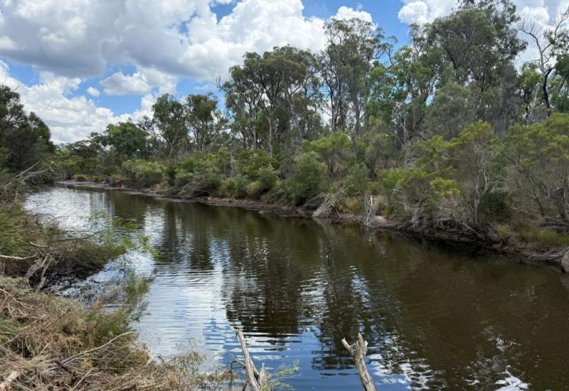 Beautiful Ballandean / Fletcher