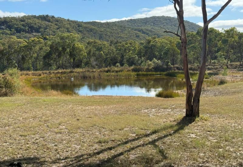 Heart of wine country Ballandean and Stanthorpe
